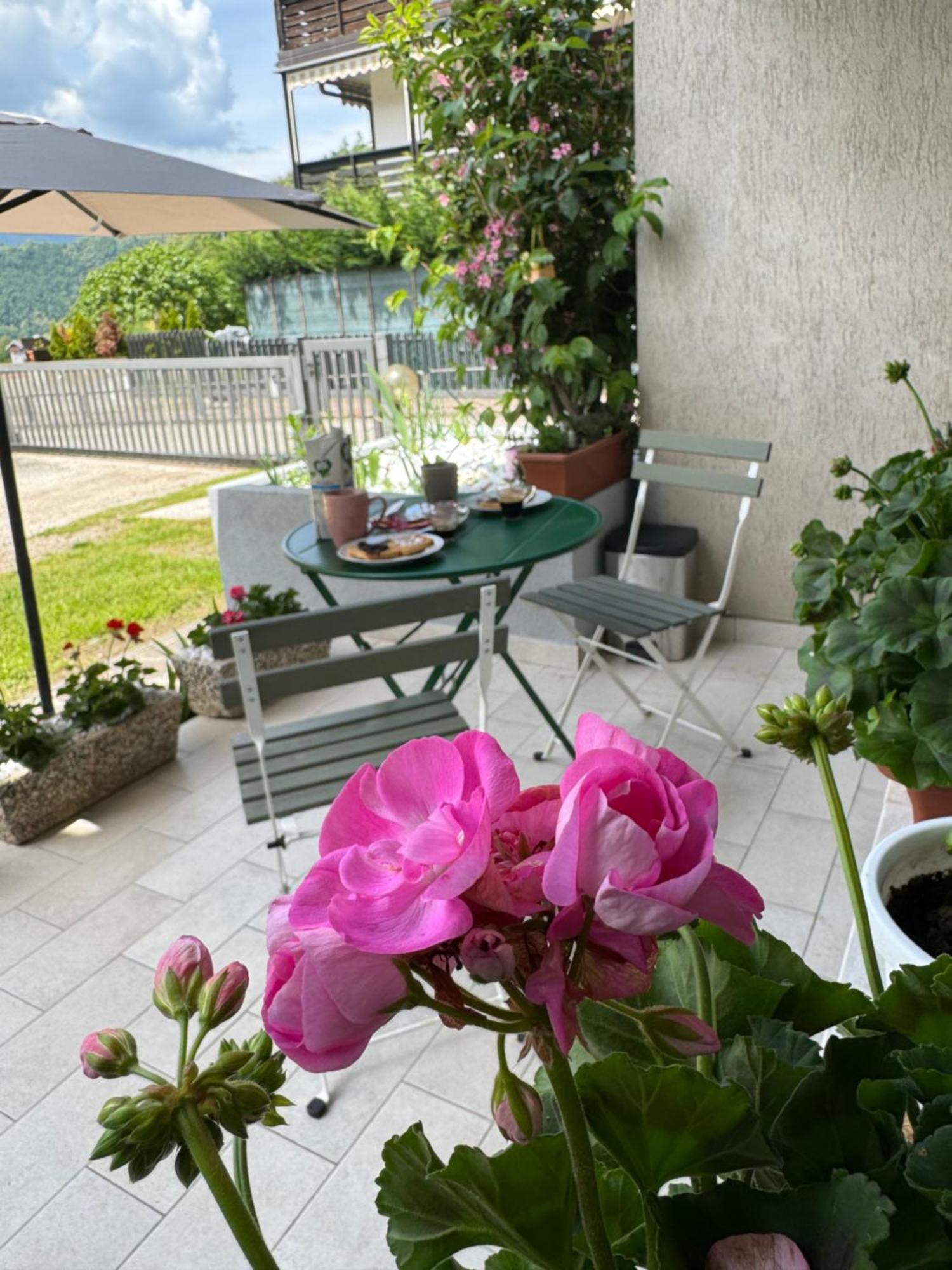 Green House Next - Lovely Apartment For Family And Free Parking Levico Terme Bagian luar foto